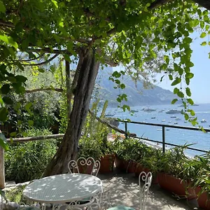 https://la-dolce-vita-a-positano-boutique-hotel.hotels-amalfi.com